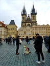 Alaskan malamute with a pink backpack visiting Prague